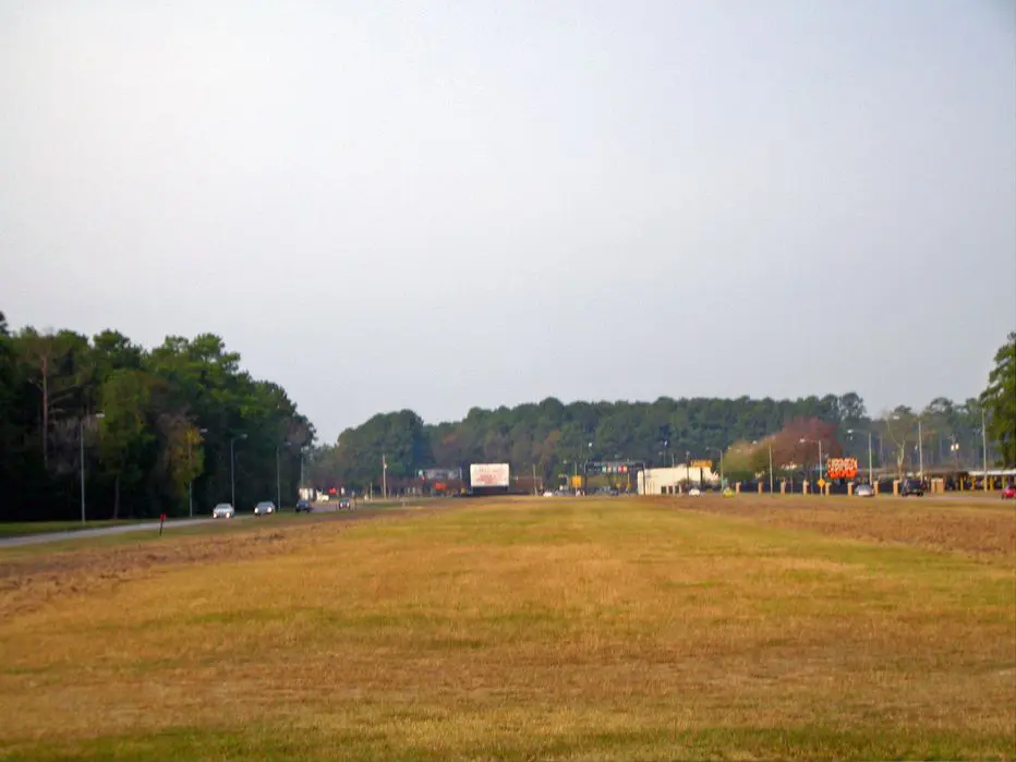 Before planting trees
