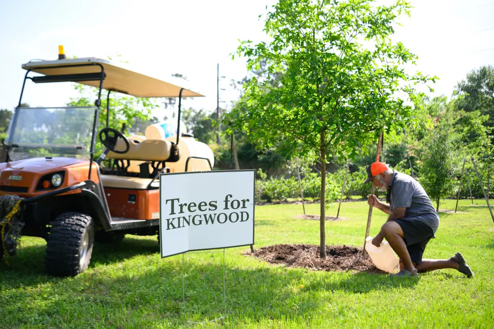 Chris Arcenaux planting a tree